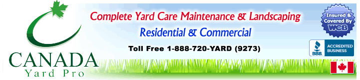 Snow Removal Services Winnipeg